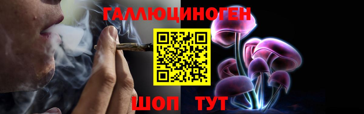 Нальчик  Галлюциногенные грибы Cubensis  Вход с VPN 